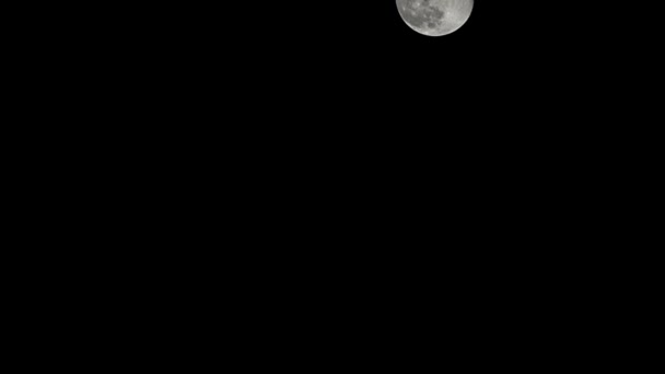 ムーンタイムラプス 株式時間の経過 暗い自然の空で満月の上昇 夜の時間 暗い夜空に満月の光で満月のディスクの時間の経過 高品質のフリービデオ映像やタイムラプス — ストック動画