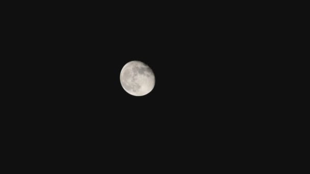 Moon Timelapse Stock Time Lapse Luna Piena Sorgere Nel Cielo — Video Stock