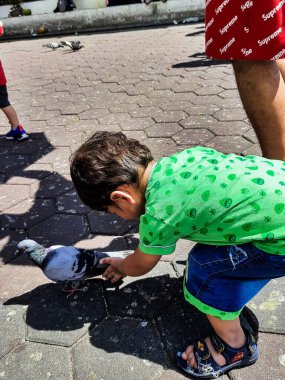 Küçük tatlı çocuk Malezya 'daki Batu Mağaraları Tapınağı yakınlarında güvercinle oynuyor, Bebek çocuk akşam vakti güvercinlerle oynuyor.