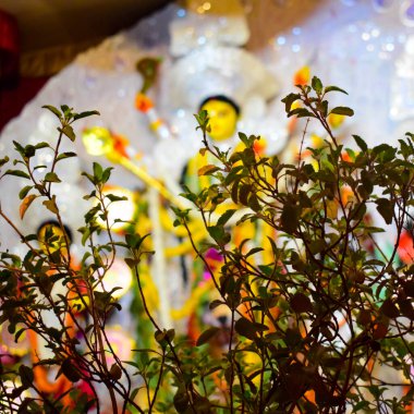Tanrıça Durga, Hindistan 'ın en büyük Hindu festivali olan Güney Kolkata Durga Puja, Durga Puja Idol' a yakından bakıyor.