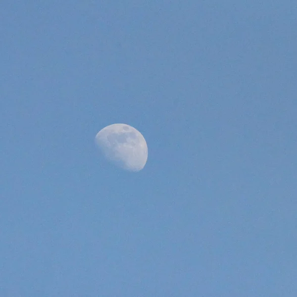Luna Piena Nel Cielo Notturno Grande Super Luna Nel Cielo — Foto Stock
