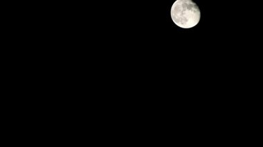 Moon Timelapse, Stock zamanaşımı: Dolunay karanlık gökyüzünde yükseliyor, gece vakti. Dolunay zamanı, gece karanlığında karanlık gökyüzünde ay ışığıyla birlikte kaybolur. Yüksek kaliteli beleş video kaydı veya zaman ayarlı