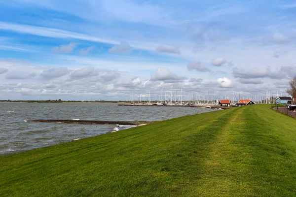 Holland Hindeloopen Coast High Coastal Wall Overgrown Grass Left Side — Stock Photo, Image
