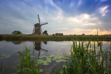 Hollanda - Kinderdijk, açık hava yel değirmenleri müzesi. Su değirmeni bir su kanalının kenarında duruyor. Ön planda yeşil sazlıklar ve nilüfer yaprakları. Yüzeydeki bulutların güzel yansıması