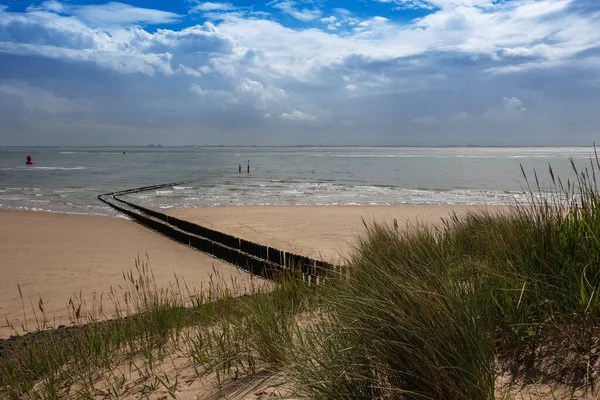 Vlissingen Badstrand海滩 一片长满青草的沙丘 倾斜向大海 右边是通向大海的木制防波堤 美丽的蓝天 — 图库照片