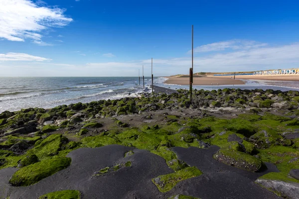 Vlissingen Krásná Písečná Pláž Barevnými Domy Řadě Uprostřed Cesty Mezi — Stock fotografie