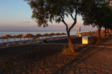 Perissa, Perivolos, Santorini siyah plajı. Güneşin sabah ışıklarıyla aydınlatılıyor. Şemsiyeli plaj sandalyeleri. İki zeytin ağacı. Güzel sakin deniz.