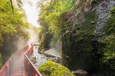Geometricas Hot Springs, Conaripe, Pucon yakınlarında, Panguipulli, Los Rios, Şili, 9 Kasım 2015. Dünyanın dört bir yanından gelen turistler tarafından ziyaret edilen Şili Patagonya 'nın jeotermal sıcak su merkezidir..
