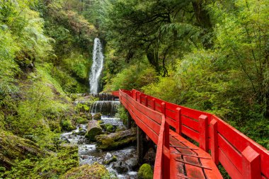 Geometricas Hot Springs, Conaripe, Pucon yakınlarında, Panguipulli, Los Rios, Şili, 9 Kasım 2015. Dünyanın dört bir yanından gelen turistler tarafından ziyaret edilen Şili Patagonya 'nın jeotermal sıcak su merkezidir..