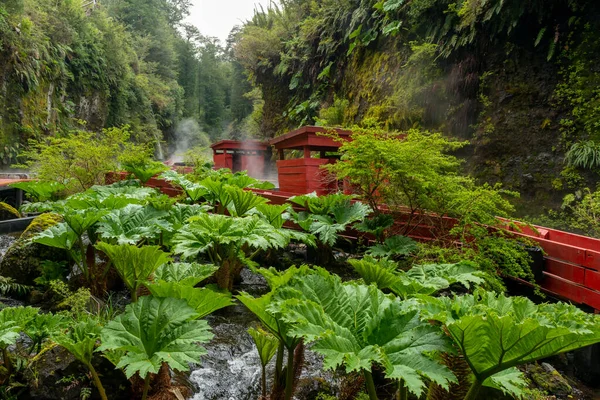 Geometricas Hot Springs Conaripe Vicino Pucon Panguipulli Los Rios Cile — Foto Stock