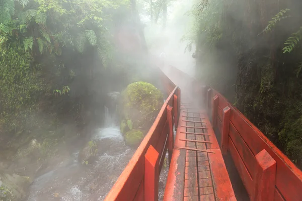 Geometricas Hot Springs Conaripe Vicino Pucon Panguipulli Los Rios Cile — Foto Stock