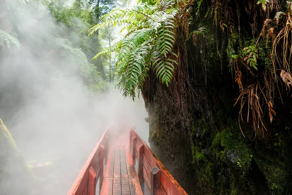 Geometricas Hot Springs, Conaripe, near Pucon, Panguipulli, Los Rios, Chile on November 9, 2015. It is a center of geothermal hot water in Chilean Patagonia visited by tourists from all over the world.