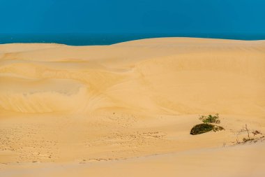Güzel kum tepeleri, Brezilya 'nın Ceara eyaletinin kuzey kıyısındaki bu küçük kasabanın başlıca turistik cazibesidir..