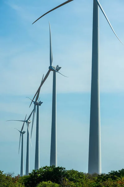 Wind Power Wind Turbines Aracati Fortaleza Ceara Brazil — Stock Photo, Image
