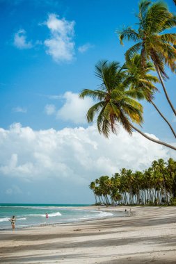 Carneiros Sahili, Tamandare, Recife yakınlarında, Pernambuco, Brezilya 8 Nisan 2019.