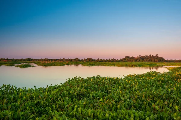 Západ Slunce Březích Transpantaneira Silnice Pantanal Státu Mato Grosso Blízkosti — Stock fotografie