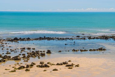 Pipa plajı, Tibau do Sul, 7 Mayıs 2008 'de Brezilya, Rio Grande do Norte yakınlarında. Balıkçı tekneleri güneşli bir günde zümrüt denize demir attı..