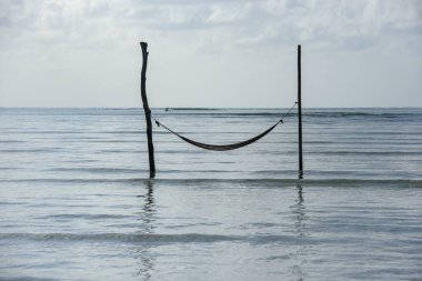 10 Ocak 2022 'de Sao Miguel dos Milagres, Alagoas, Brezilya