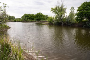 Doğa. Nehir. Orman. Ağaçlar. Bir park. Bahar. Yaz. Meşe ağacı. Manzara. Manzara. Güzellik. Gökyüzü. Yol. Çiçekler.