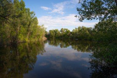 Doğa. Nehir. Orman. Ağaçlar. Bir park. Bahar. Yaz. Meşe ağacı. Manzara. Manzara. Güzellik. Gökyüzü. Yol. Çiçekler.