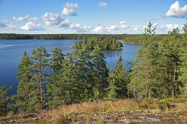 Meiko Forest Lake Uno Los Muchos Finlandia — Foto de Stock