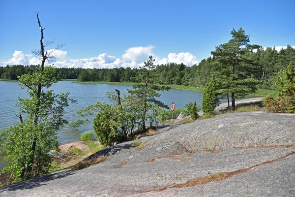 Skaliste Wybrzeże Drzewami Iglastymi Wyspy Linlo Południowej Finlandii — Zdjęcie stockowe