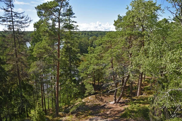 Vista Floresta Baía Uma Colina Ilha Linlo Sul Finlândia — Fotografia de Stock