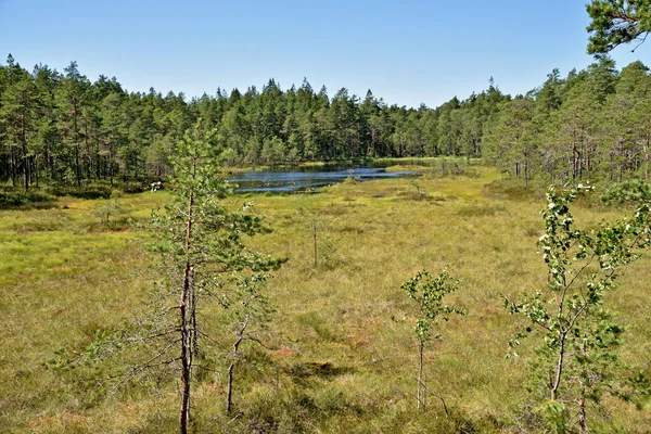 Jezioro Kakarlampi Gminie Kirkkonummi Finlandii — Zdjęcie stockowe