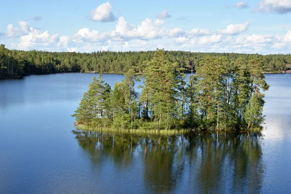 Uma Ilha Com Coníferas Lago Meiko Kirkkonummi Finlândia — Fotografia de Stock