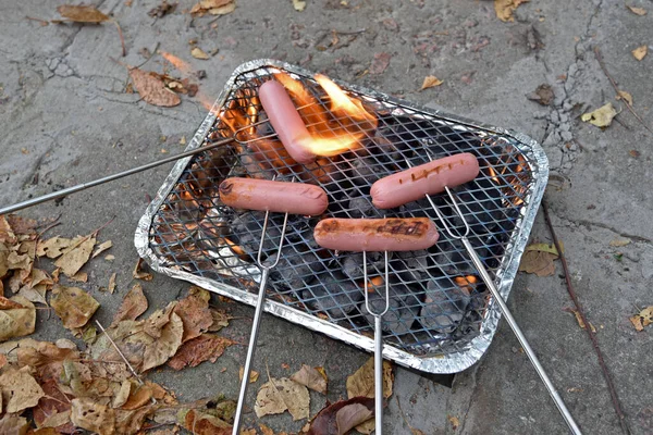 Yanan kömürlerin üzerinde duran sosislerle sonbahar manzarası.