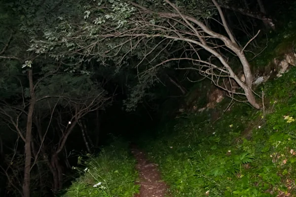Pfad in den Bergen im dunklen Wald bei Nacht. — Stockfoto