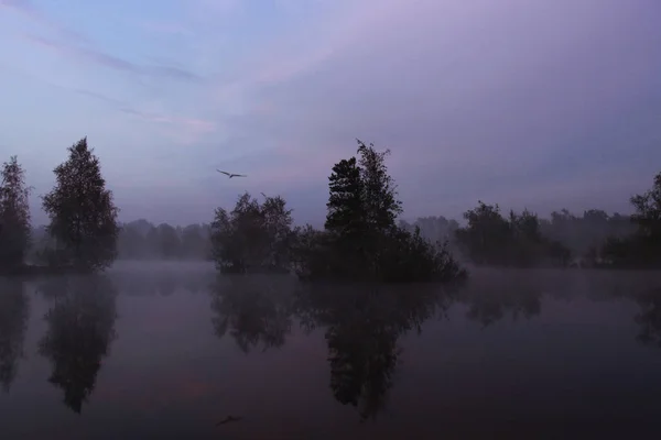 Mglisty Letni Poranek Nad Jeziorem — Zdjęcie stockowe