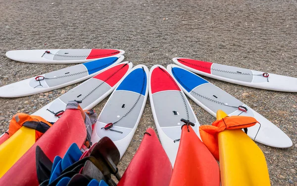 Sup board and kayaks rental place on the beach. Surfboards, many different surf boards on the beach, water sport, happy active summer vacation. Row of stand up paddle boards ready to rent.