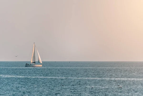 Sailing ship luxury yacht with white sails in the sea in the evening sunlight. Sailboat luxury summer adventure, active vacation