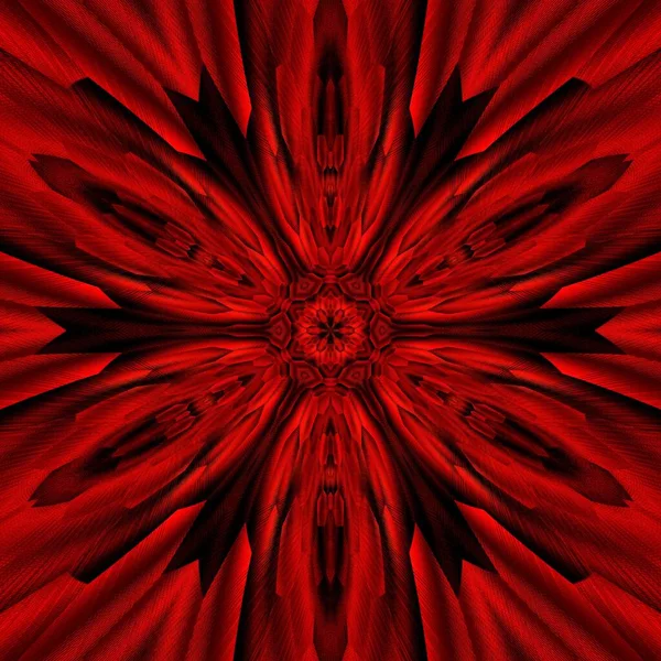 六角形花的奇幻风格从黑色背景上深红色的阴影中抽象出艺术 形成了许多复杂的图案和图案 — 图库照片
