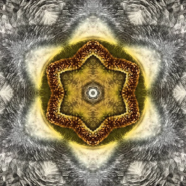 Ingewikkelde Symmetrische Zilver Goud Bloemen Fantasie Zeshoekige Bloemen Fantasie Patronen — Stockfoto
