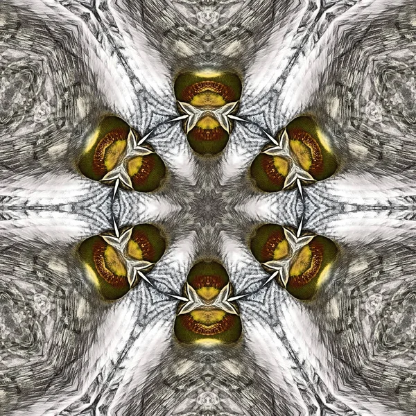 复杂的对称银金花奇幻图案与设计 以方格形式再现单朵百合花的特写 — 图库照片