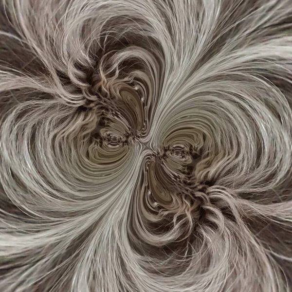 Αποχρώσεις Των Γκρίζων Μαλλιών Μετατρέπονται Πολλά Διαφορετικά Μοναδικά Σχήματα Σχέδια — Φωτογραφία Αρχείου