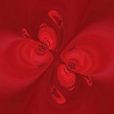 Tek bir koyu kırmızı yıldız çiçeğinin çiçekli fantezi desenleri yağmur damlası etkisiyle yakın çekim desenlerinde çiçek açar.