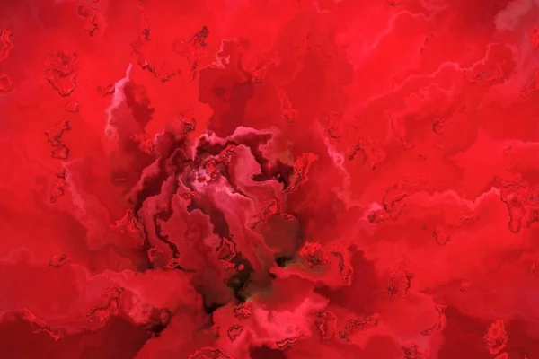 Kwiatowe Wzory Fantasy Pojedynczej Ciemnoczerwonej Dahlii Kwitną Wzorach Zbliżeniowych Przez — Zdjęcie stockowe