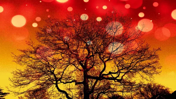 Bezlistne Samotne Drzewo Zimie Nakładkami Bokeh Tworząc Unikalną Sztukę Jaskrawo — Zdjęcie stockowe