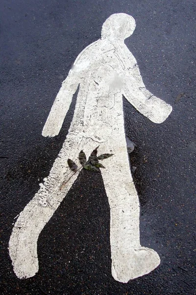 Icon Pedestrian Male Crossing Road White Paint Black Asphalt Background — Stock Photo, Image