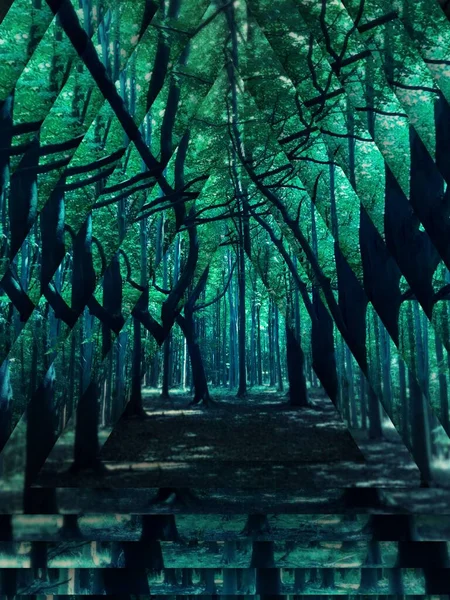 Відтінки Зеленого Ранкового Світла Зачарованих Лісових Візерунках Дизайнах — стокове фото