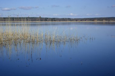 Göllerin mavi aynalı yüzeyi kıyıya yakın duran çimenlerin saplarını yansıtır. Kırsalda dinlenmek için bir yer.