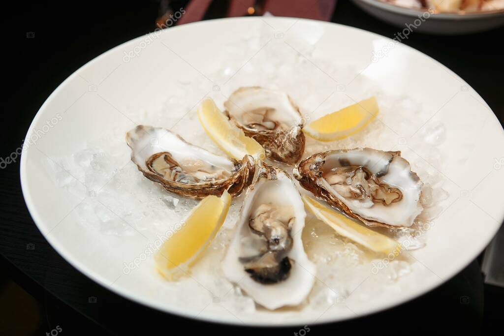 Freshly opened oysters on a plate with ice, lemon slices, sprigs of mint and rosemary on a dark stone background. Place for text, top view. Romantic dinner in a restaurant.