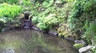 Kar ve Iwana balık Japon botanik zen bahçe su ile kırmızı ve yeşil yapraklarla erir