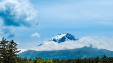 Taze yeşil orman ve Yamanashi, Japan, yaz aylarında kar, mavi gökyüzü güzel manzaralı Mt.Fuji.
