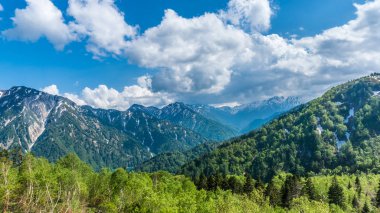 Güzel bir manzarası dışında manzara kar duvar ve Murodo yeşil ağaçtan Toyama, Japonya'da Murodo İstasyonu istasyon için ünlü turistik seyahat için alps yol Japonya.