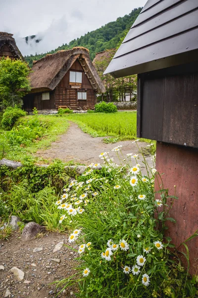 Village Japonais Traditionnel Historique Shirakawago Dans Préfecture Gifu Japon Gokayama — Photo