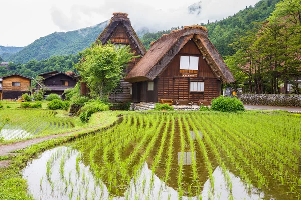 Village Japonais Traditionnel Historique Shirakawago Dans Préfecture Gifu Japon Gokayama — Photo